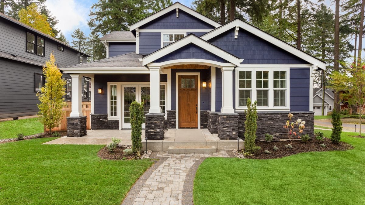 Professional Painters: Beyond Aesthetic Appeal
