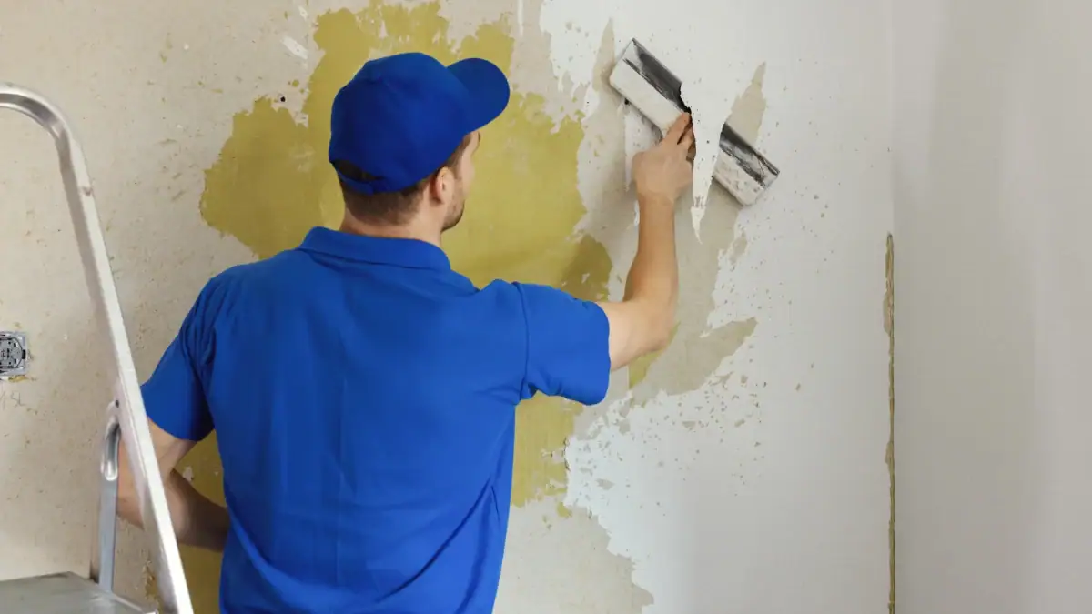 Professional Wallpaper Removal