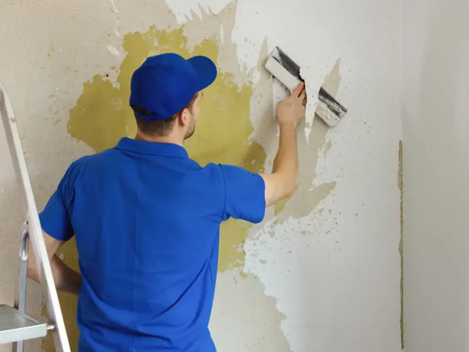 Professional Wallpaper Removal